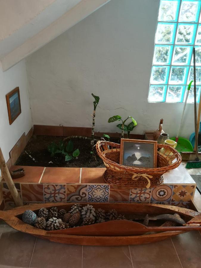 Casa Mamanena Guest House Mogan Exterior photo